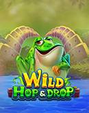 Wild Hop & Drop 