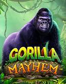Gorilla Mayhem  