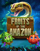 Fruits of the Amazon 