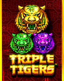 Triple Tigers